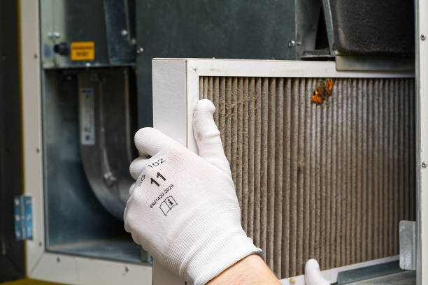 Best Affordable Air Duct Cleaning  in Wilton, IA