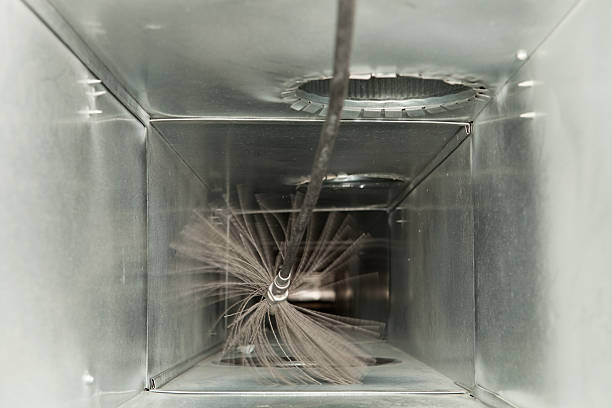 Best Air Duct Cleaning Near Me  in Wilton, IA